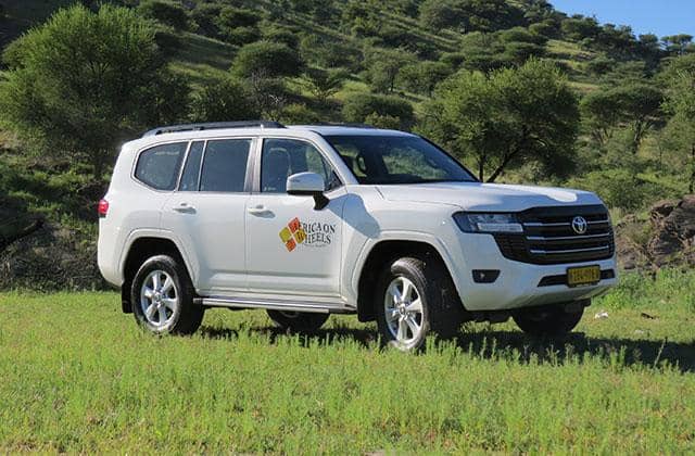 Toyota Landcruiser 300 4x4 V6 Diesel Unequipped